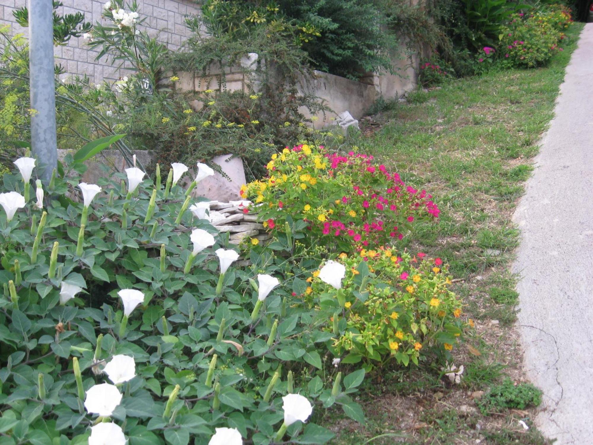 Apartment Silmare Rabac